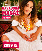 AKCE – LETNÍ HAVAJSKÝ RÁJ